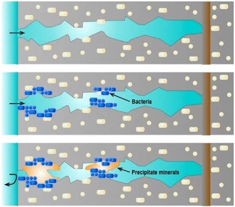 concrete water permeability|bacteria based self healing concrete.